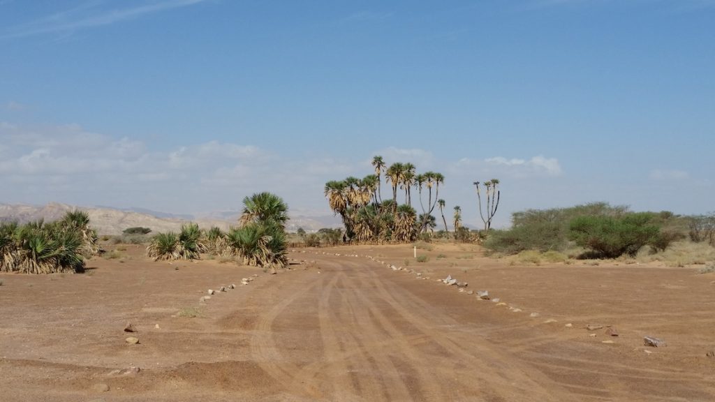 Israeli Negev desert