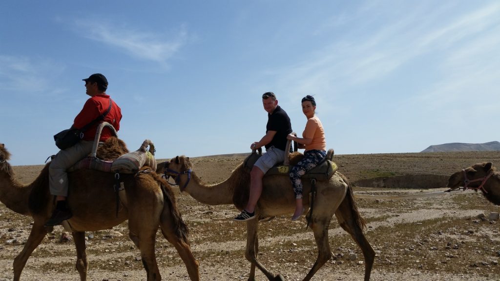 camel ride in the Israeli Negev desert