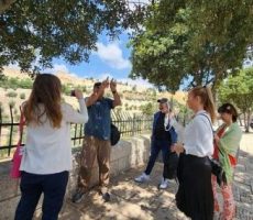 Mottitour-private-tours